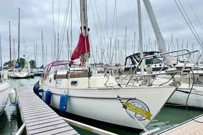 1982 Hallberg Rasssy Monsun 31