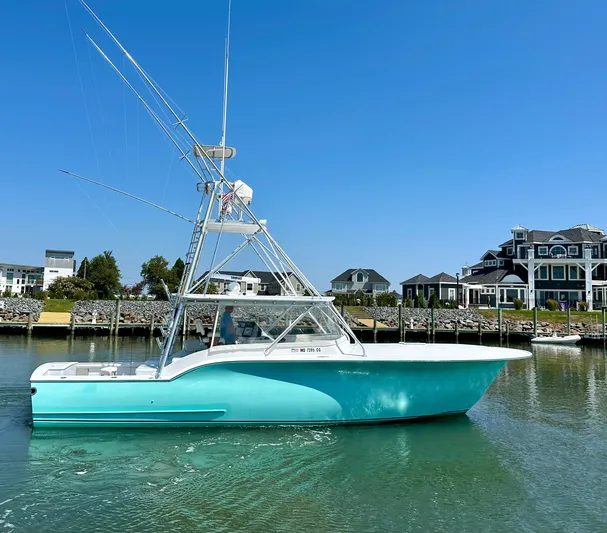 Wire Nut Yacht Photos Pics 