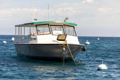 Seahawk island hopper
