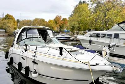 Chaparral 310 Signature
