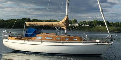 Vindo 40 Sloop