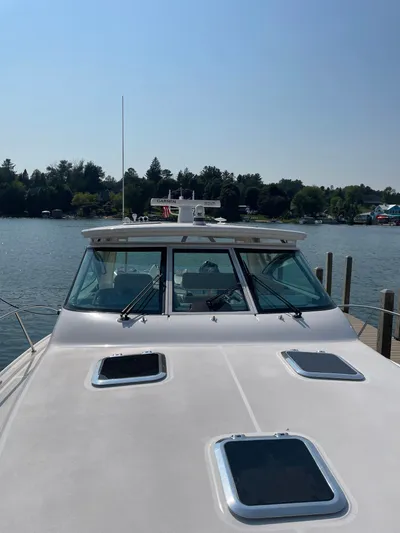 Gonzo Yacht Photos Pics 