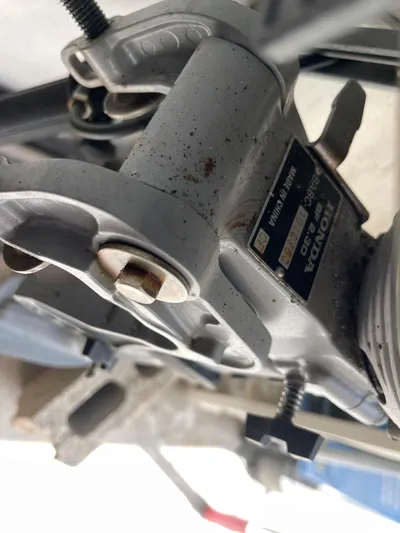 Summer Girl Yacht Photos Pics 