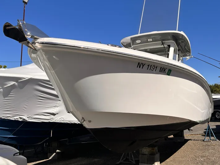  Yacht Photos Pics 