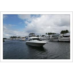 2006 Sea Ray 44 Sedan Bridge