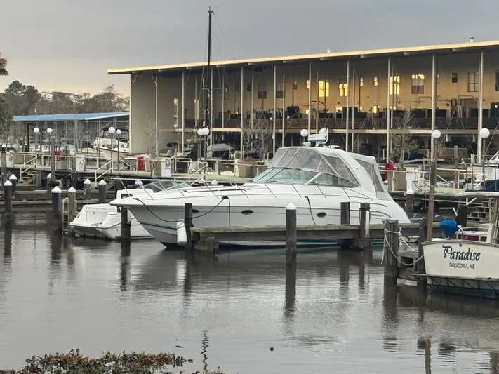 Cash Is King Yacht Photos Pics 