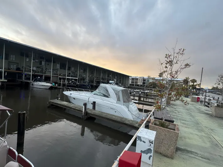 Cash Is King Yacht Photos Pics 