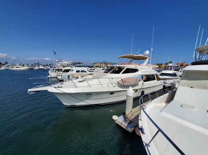 Stay Or Leave Yacht Photos Pics 