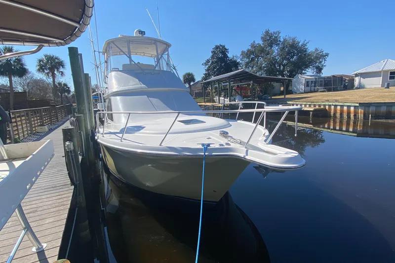 Reel Appeal Yacht Photos Pics 