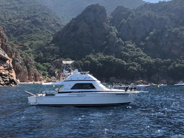  Yacht Photos Pics Bertram 37 Convertible, profile