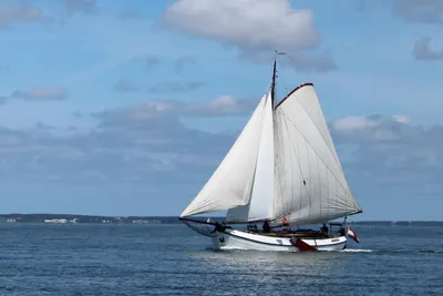 1983 Lemsteraak 15.00