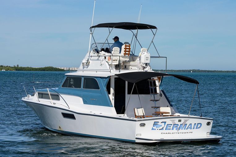 1965-38-bertram-1965-2013-sport-fisherman