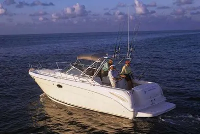 2007 Sea Ray 290 Amberjack