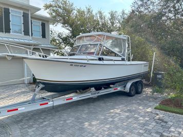 Shamrock 260 Predator