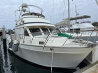 1984 PT 35 Sundeck