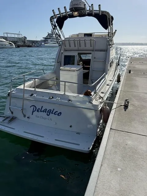 Actual Boat