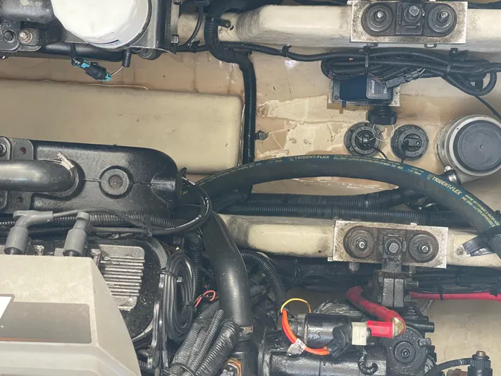 Euphoria Yacht Photos Pics 