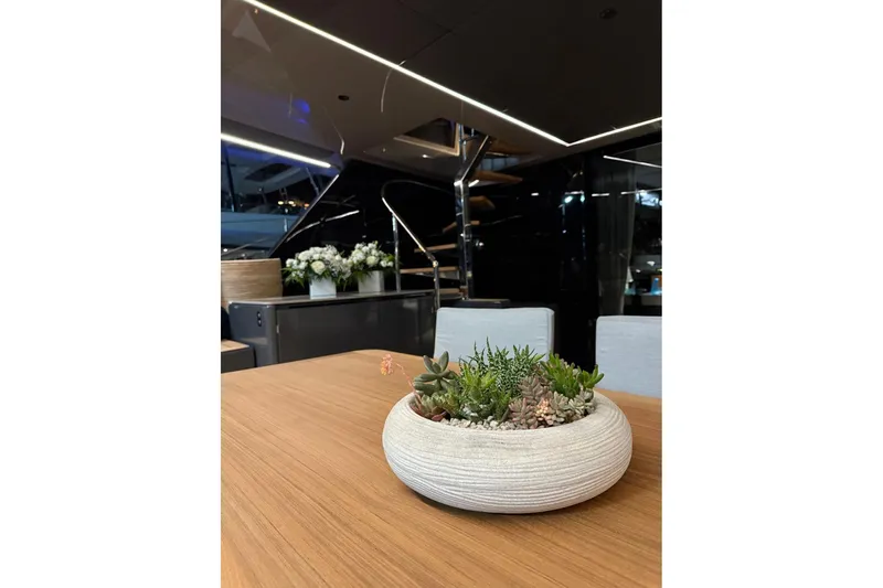Serenity Yacht Photos Pics Elegant interior of 2024 Sunreef 60 yacht with succulent centerpiece on wooden table.