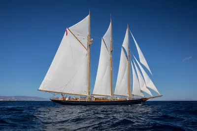 1902 Classic Townsend & Downey Schooner