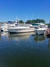 Tiara Yachts 36 Open