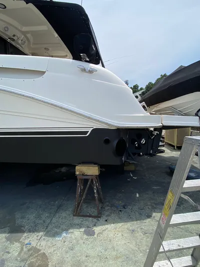 Offshore Account Yacht Photos Pics 