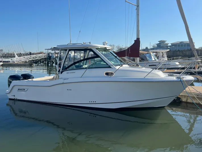  Yacht Photos Pics 