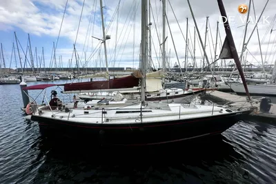 ALB Sail 41