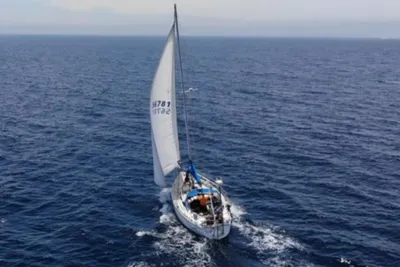 Catalina 36 Sloop