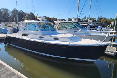 Back Cove 29