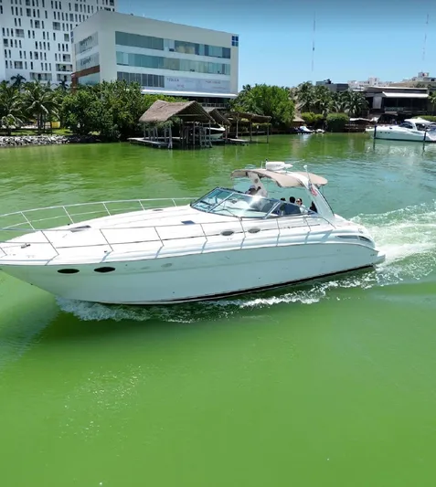 Adagio Yacht Photos Pics 1999 Sea Ray 380 Sundancer cruising on vibrant green water near modern buildings.