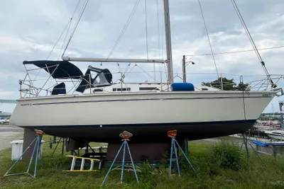 Pearson 33-2