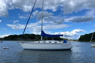 Tartan 31