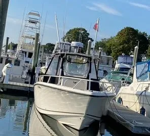 Mako 284 CC