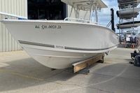2010 Jupiter 29