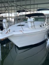 Wellcraft Martinique 3600