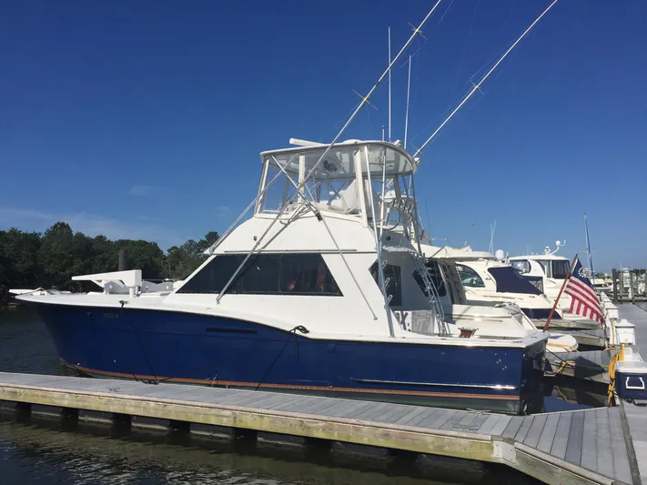  Yacht Photos Pics PROFILE BEFORE NEW FRAMELESS WINDOWS