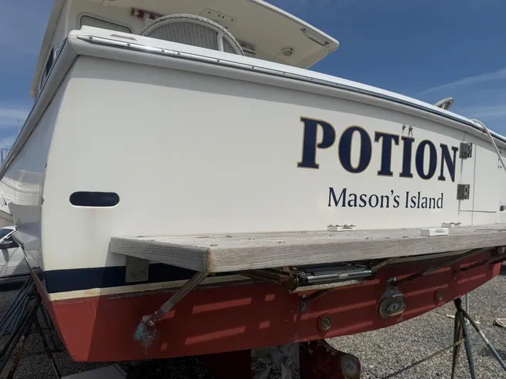Potion Yacht Photos Pics 