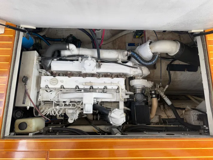 Potion Yacht Photos Pics 