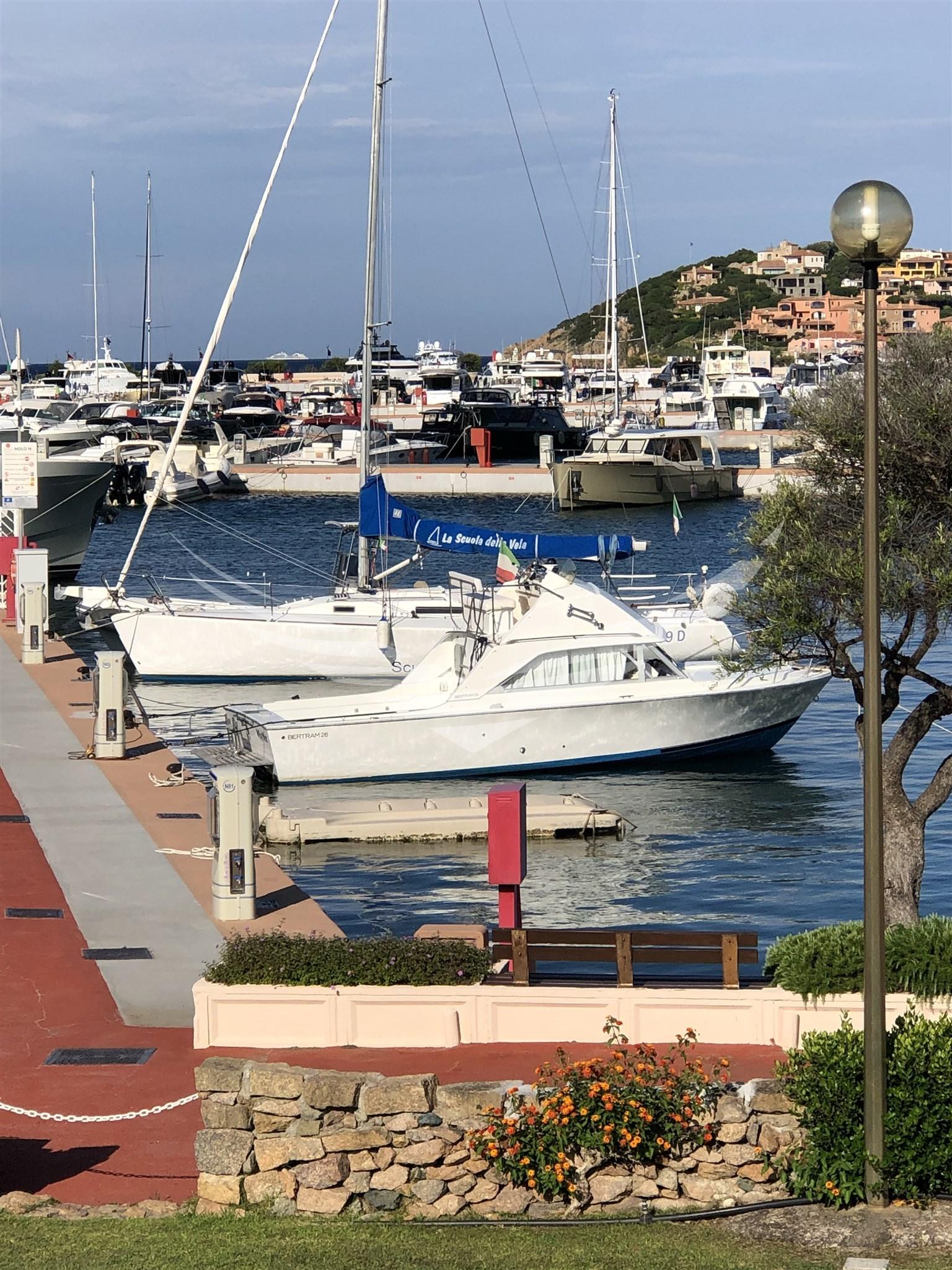1977 Custom Bertram Yacht 26' SF