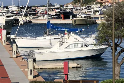 1977 Custom Bertram Yacht 26' SF