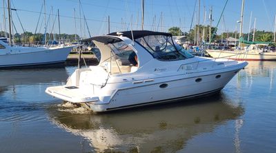 Cruisers 3375