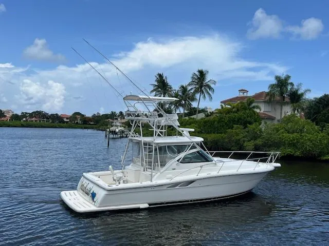  Yacht Photos Pics 2003 Tiara Yachts 3800 Open on a serene waterway, surrounded by lush greenery.
