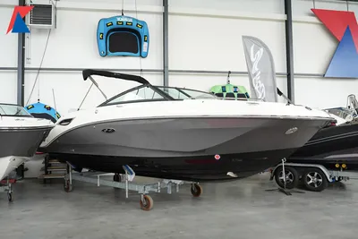 2024 Sea Ray SDX 250