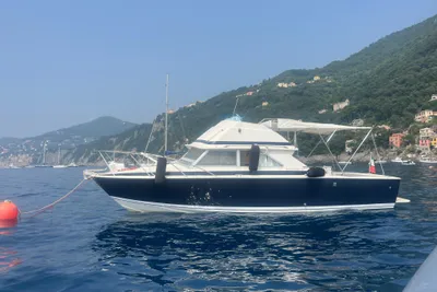 1973 Bertram 28 Flybridge CRUISER