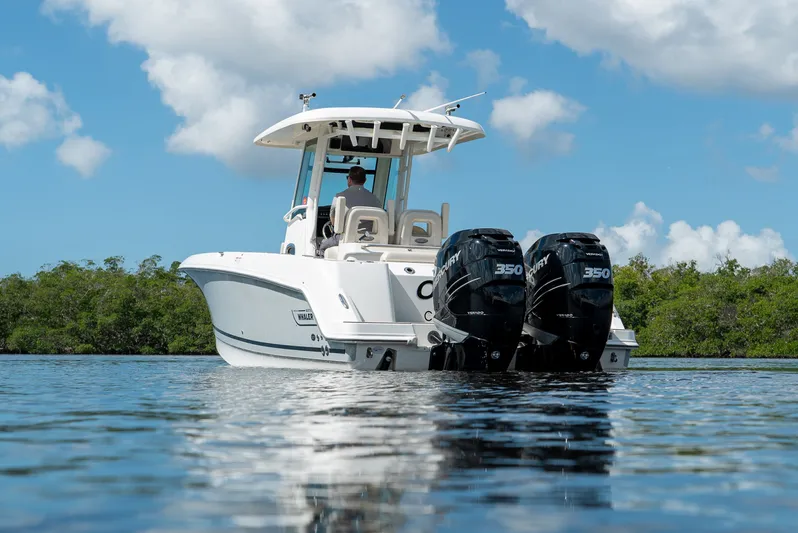 Perfect Timing... Yacht Photos Pics 