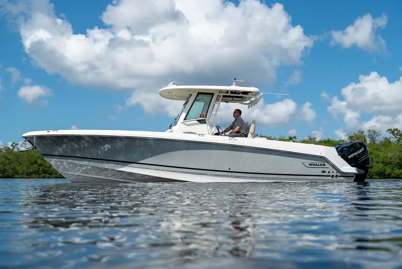 Perfect Timing... Yacht Photos Pics 