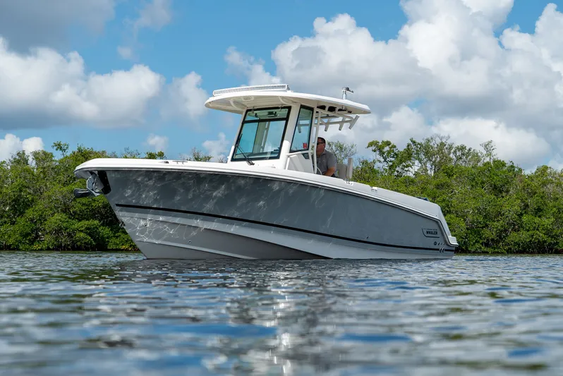 Perfect Timing... Yacht Photos Pics 