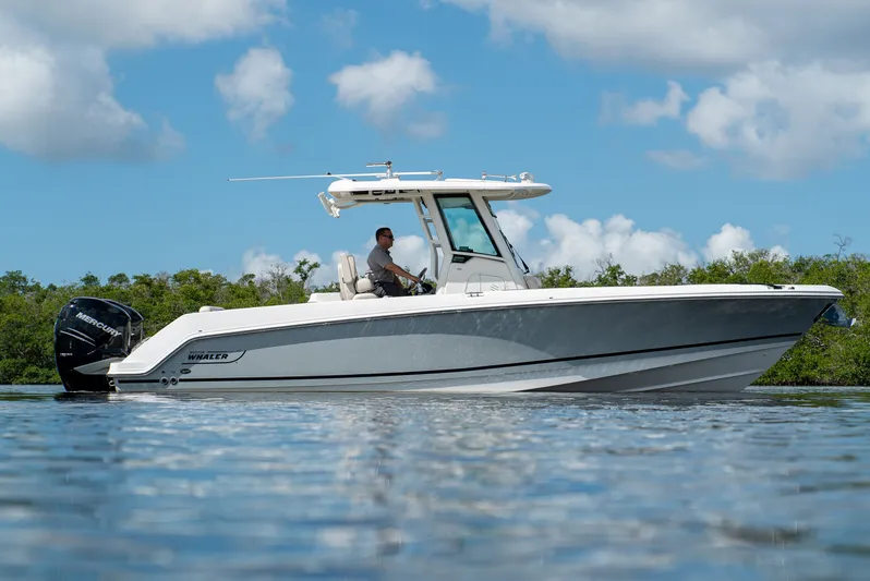 Perfect Timing... Yacht Photos Pics 