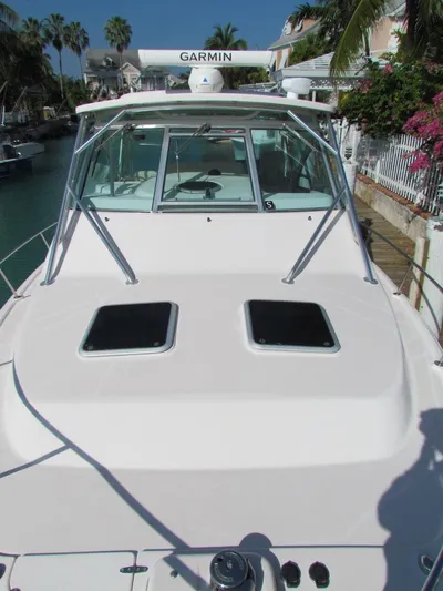  Yacht Photos Pics 2008 Grady-White Express 360 boat with Garmin radar, docked near tropical foliage.