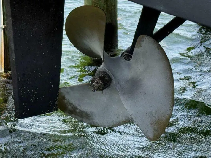 Mjm Grand Yacht Photos Pics 2020 Carver C36 Command Bridge - Image 111